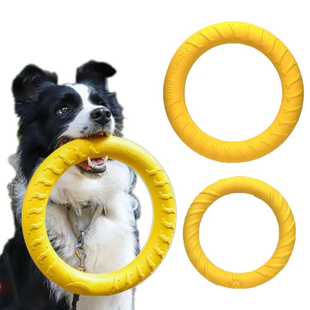 Juego de Juguetes para Cachorr - Flying Disc Dog Training Toy reseña y precio