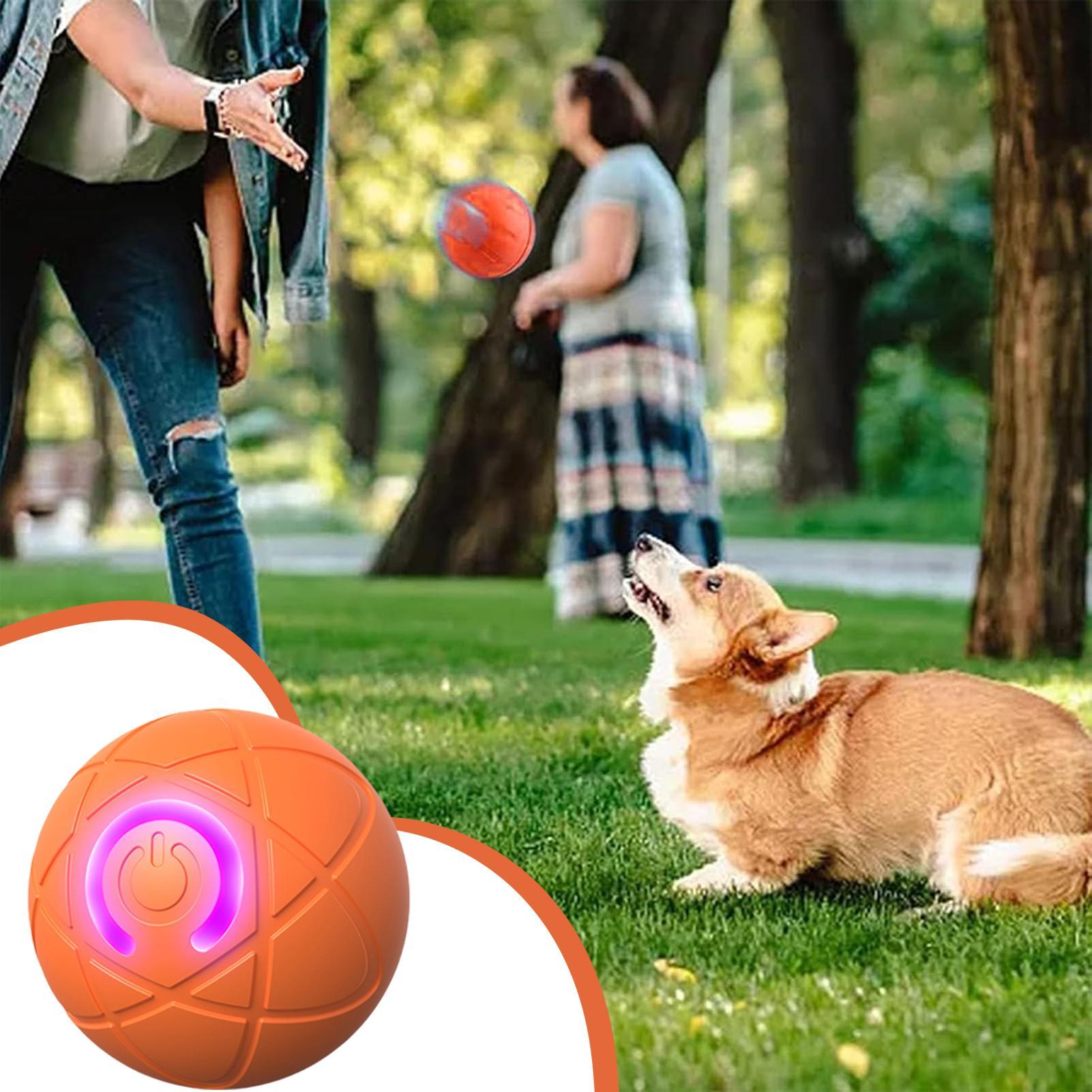 Juguetes interactivos intelige - Automatic Moving Dog Ball reseña y precio