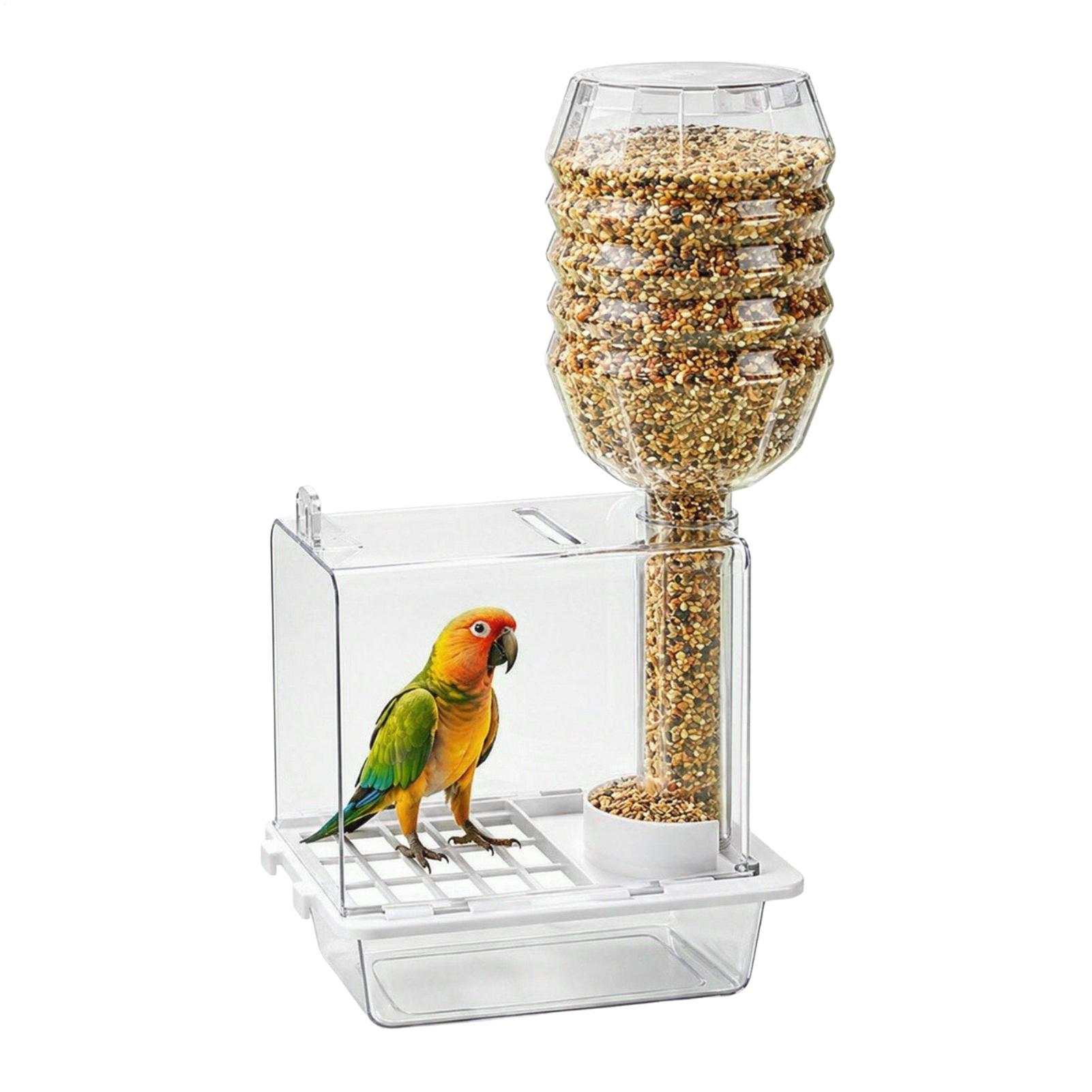 Comedero automático para pájar - Pet Feeders reseña y precio